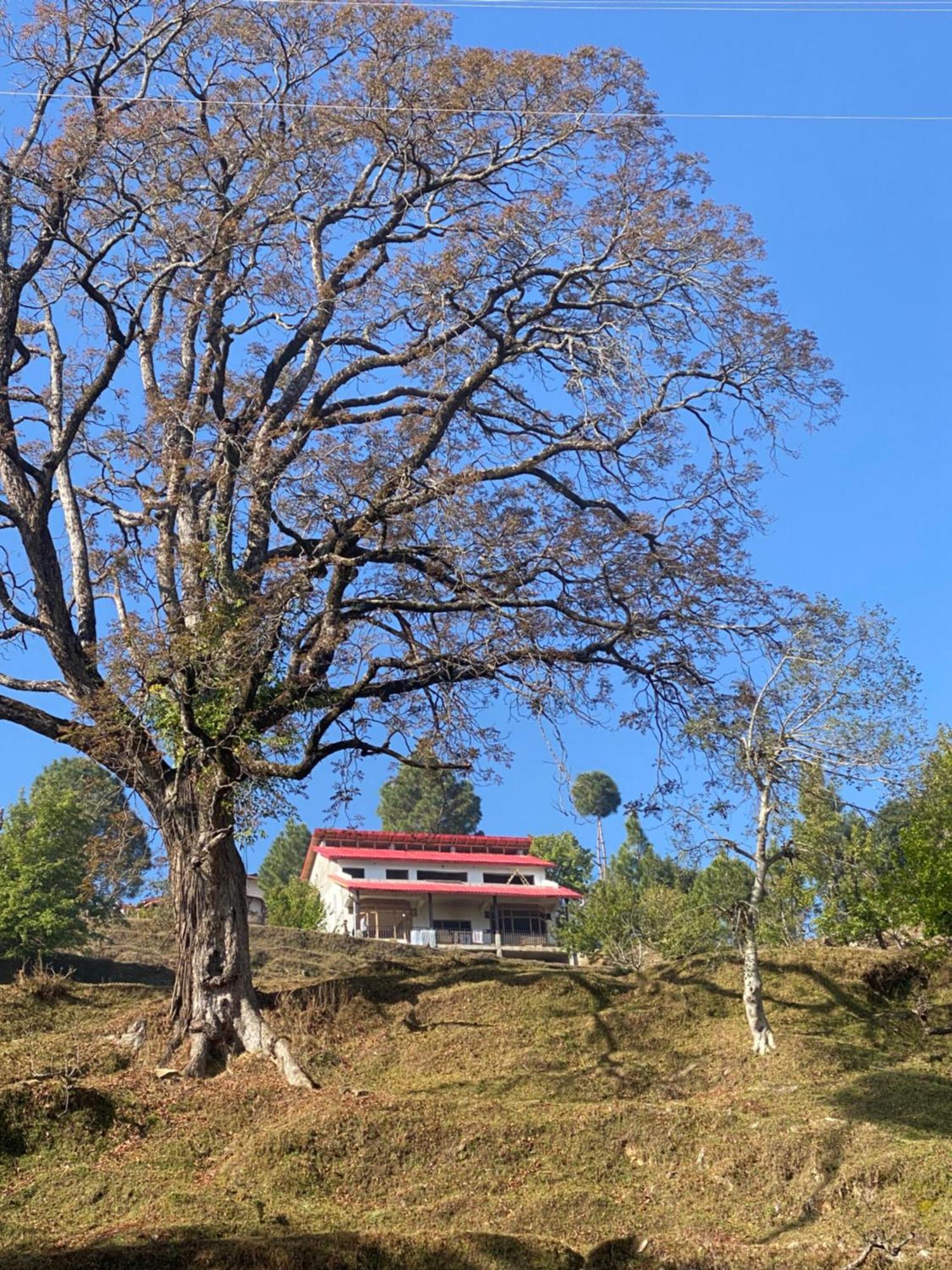 Little Frida- The Dak Bungalows Mukteshwar Exteriör bild